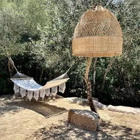 Casa Di Macchjerolu - 8 Pers Hébergement de vacances